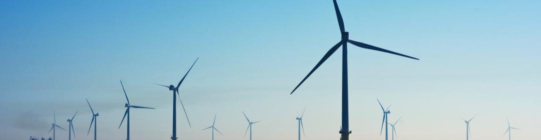 Benoeming nieuwe leden Wetenschappelijke Klimaatraad